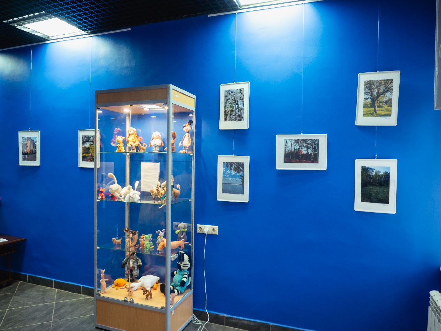 культура, фотовыставка, подмосквье, дедовск,