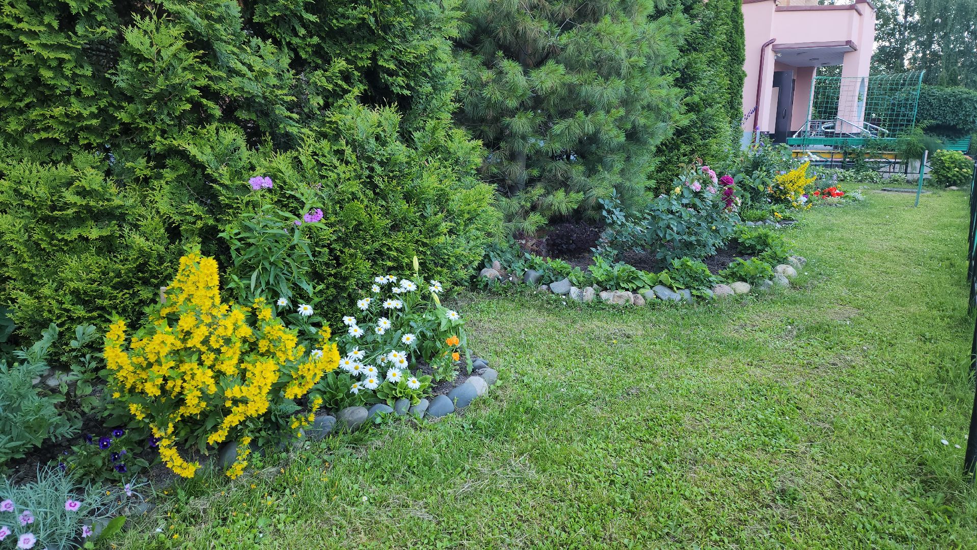 долгожительница, долгожители подмосковья, тсж, садовник, красногорск,