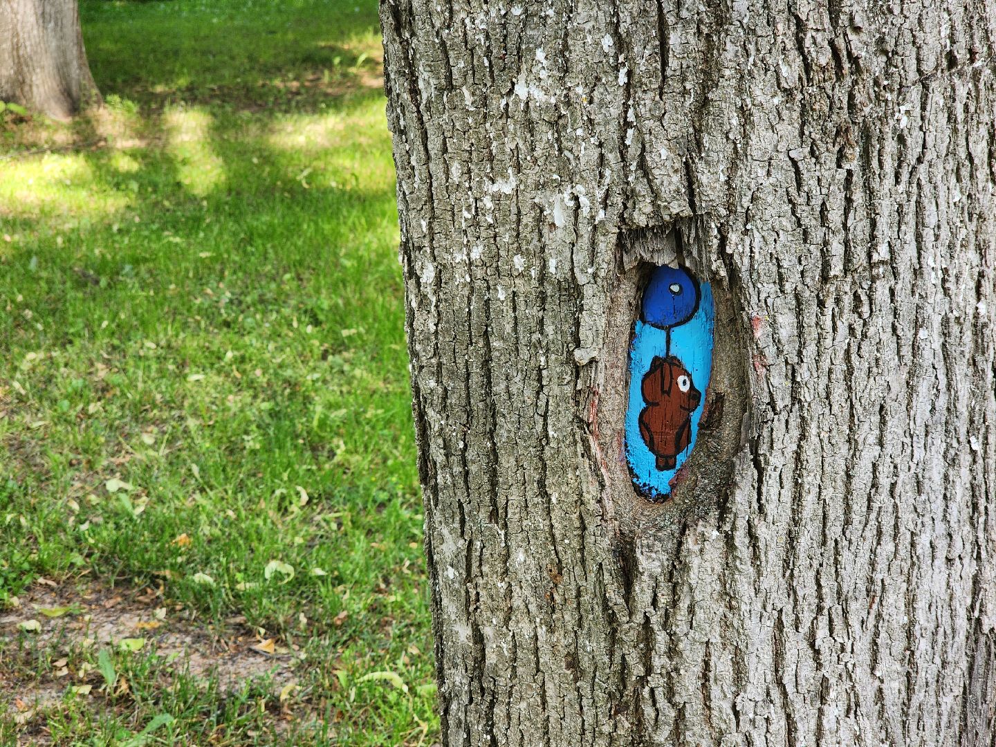 Зарайск, культура, арт-объект, лето в подмосковье,