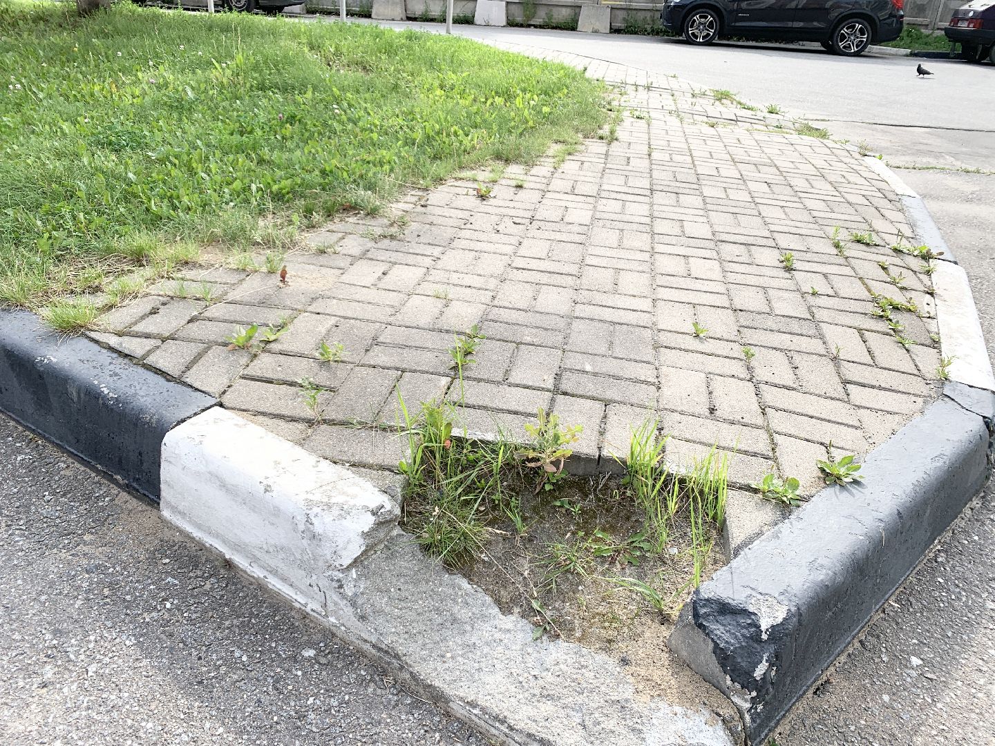 Балашиха, Подмосковье, Благоустройство, Дворы, благоустройство дворовой территории,