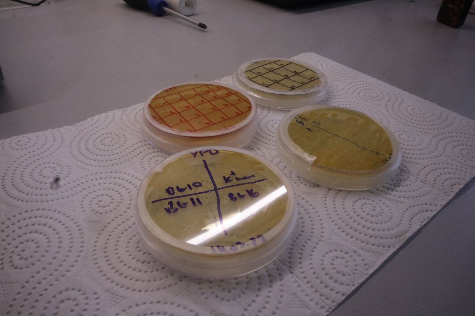 онкология, Пущино, медицина, наука