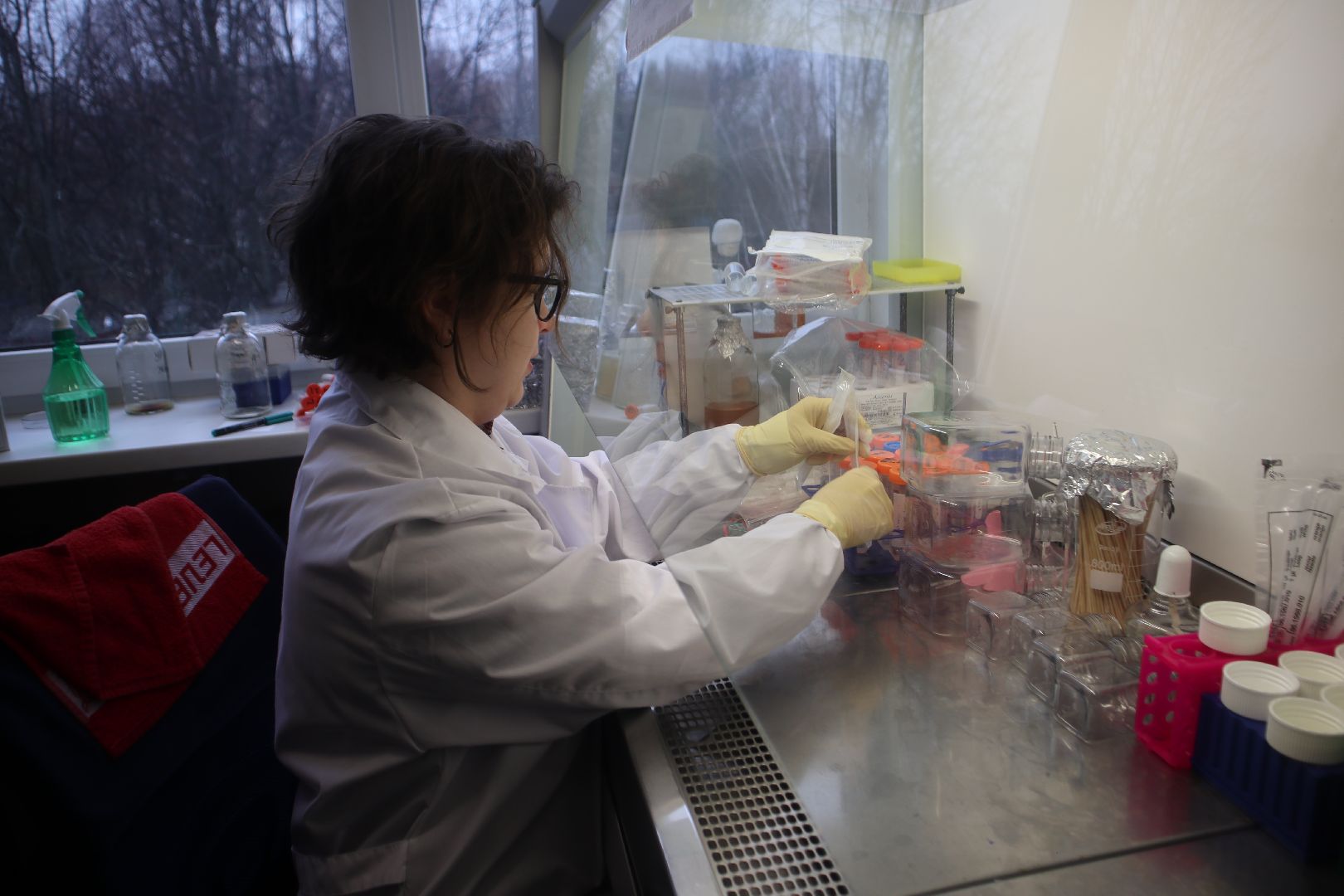 онкология, Пущино, медицина, наука