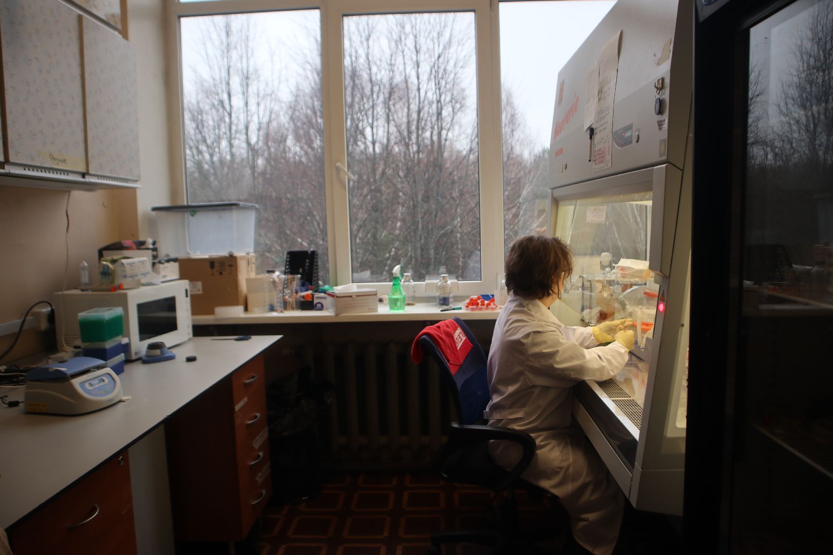 онкология, Пущино, медицина, наука