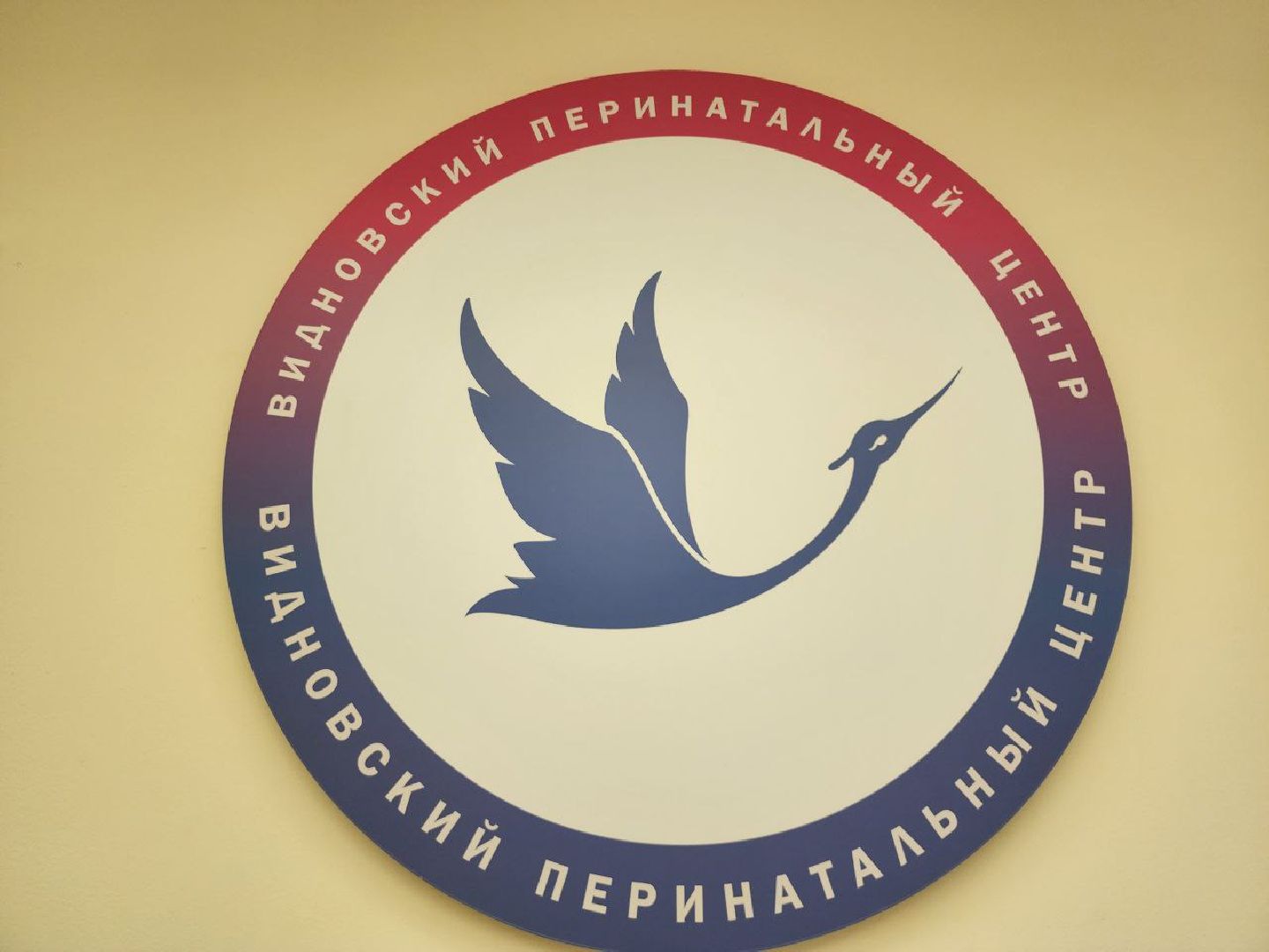 Видновский перинатальный центр, Роддом, Впц, Видное, ленинский городской округ,Малыши, Младенцы, Новорожденный,