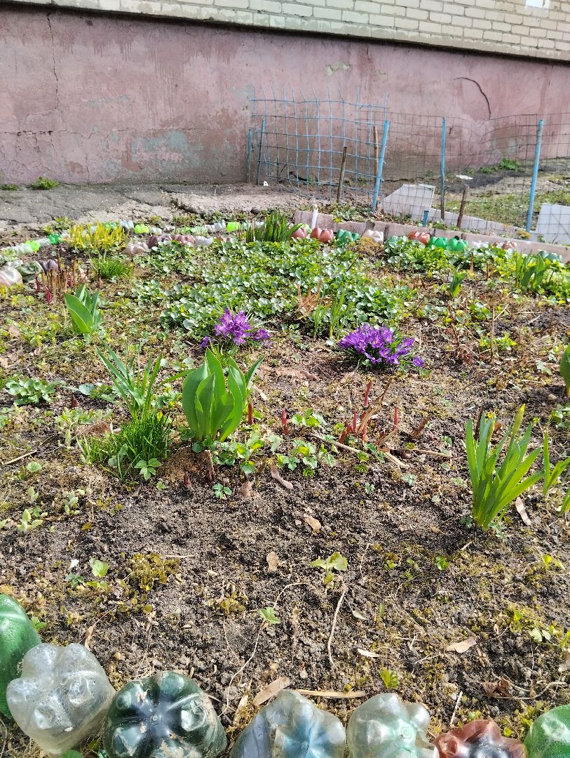 Старая Купавна, природа, весна, Богородский городской округ, животные