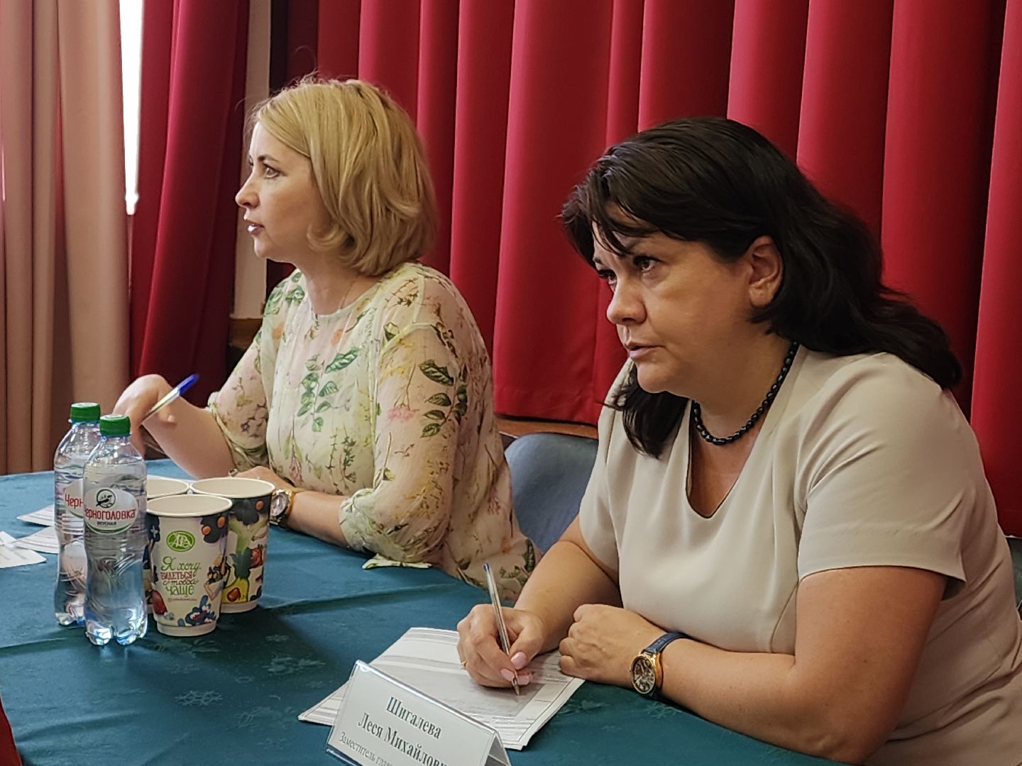 Черноголовка, Ботово, детская площадка, выездная администрация,