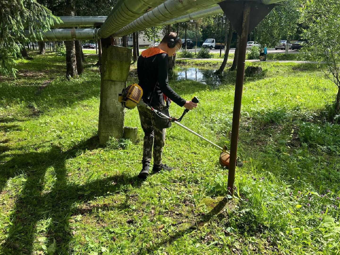 управляющая компания, школьники, работа, благоустровйство, покос травы,