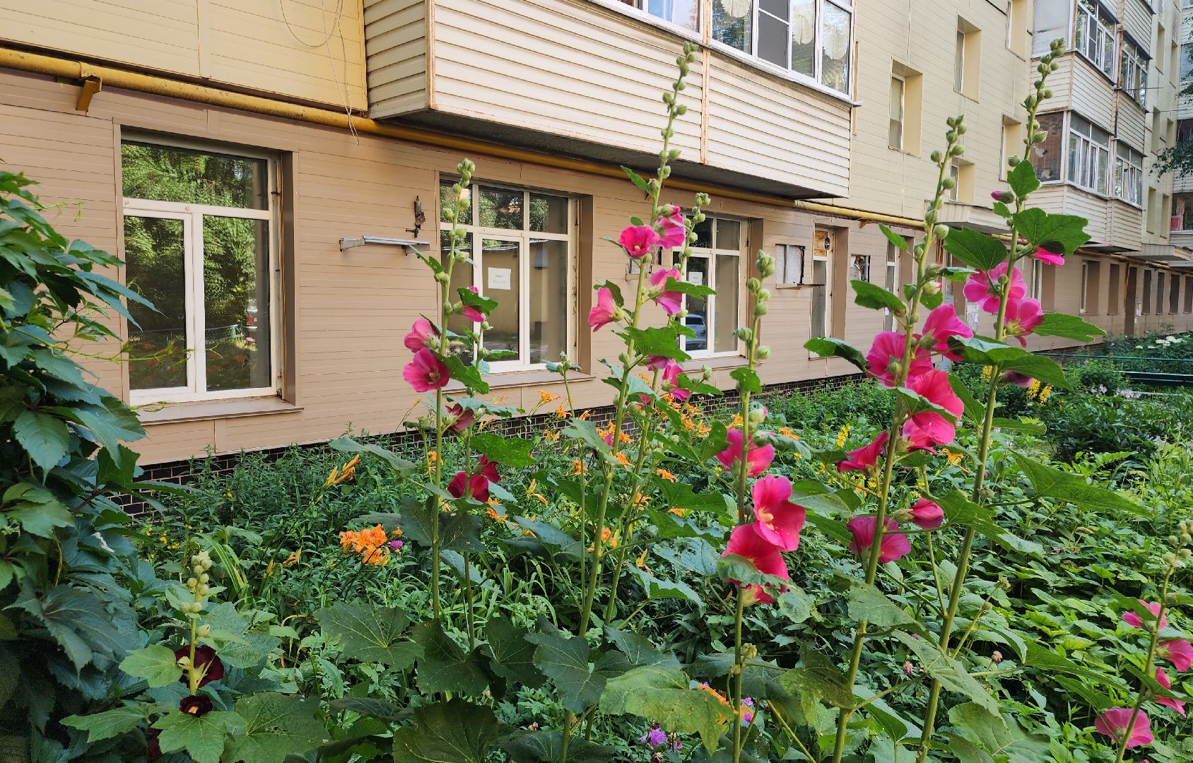 Звенигород, ЖКХ,