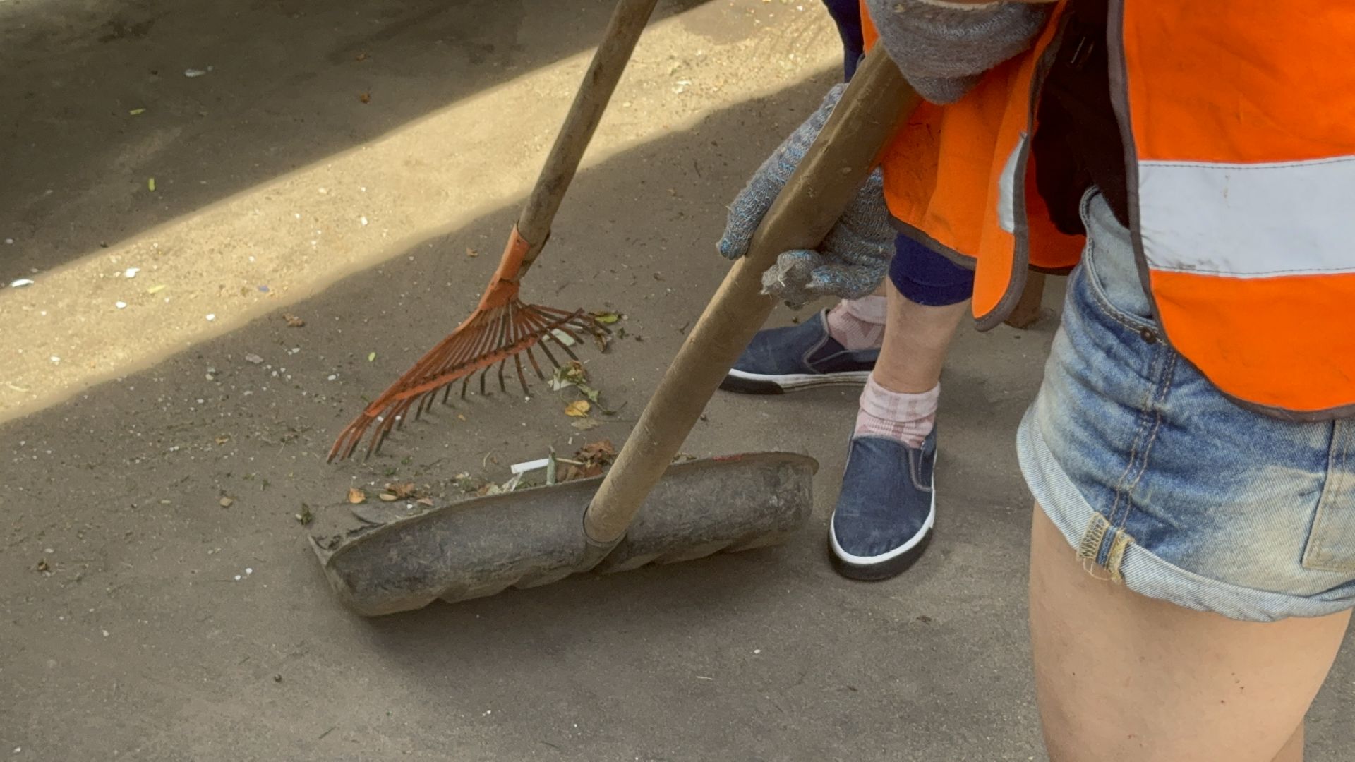 Солнечногорск, мусорные площадки, уборка территории, Жители, контейнер для мусора,