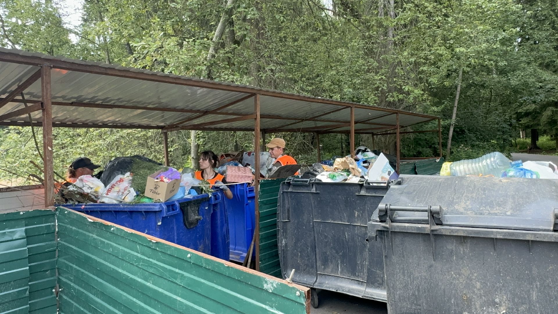 Солнечногорск, мусорные площадки, уборка территории, Жители, контейнер для мусора,