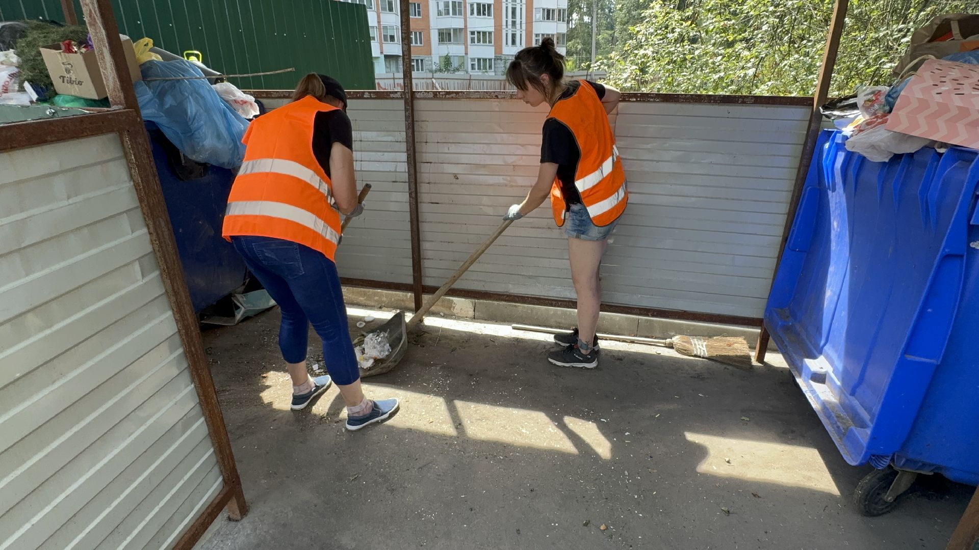 Солнечногорск, мусорные площадки, уборка территории, Жители, контейнер для мусора,