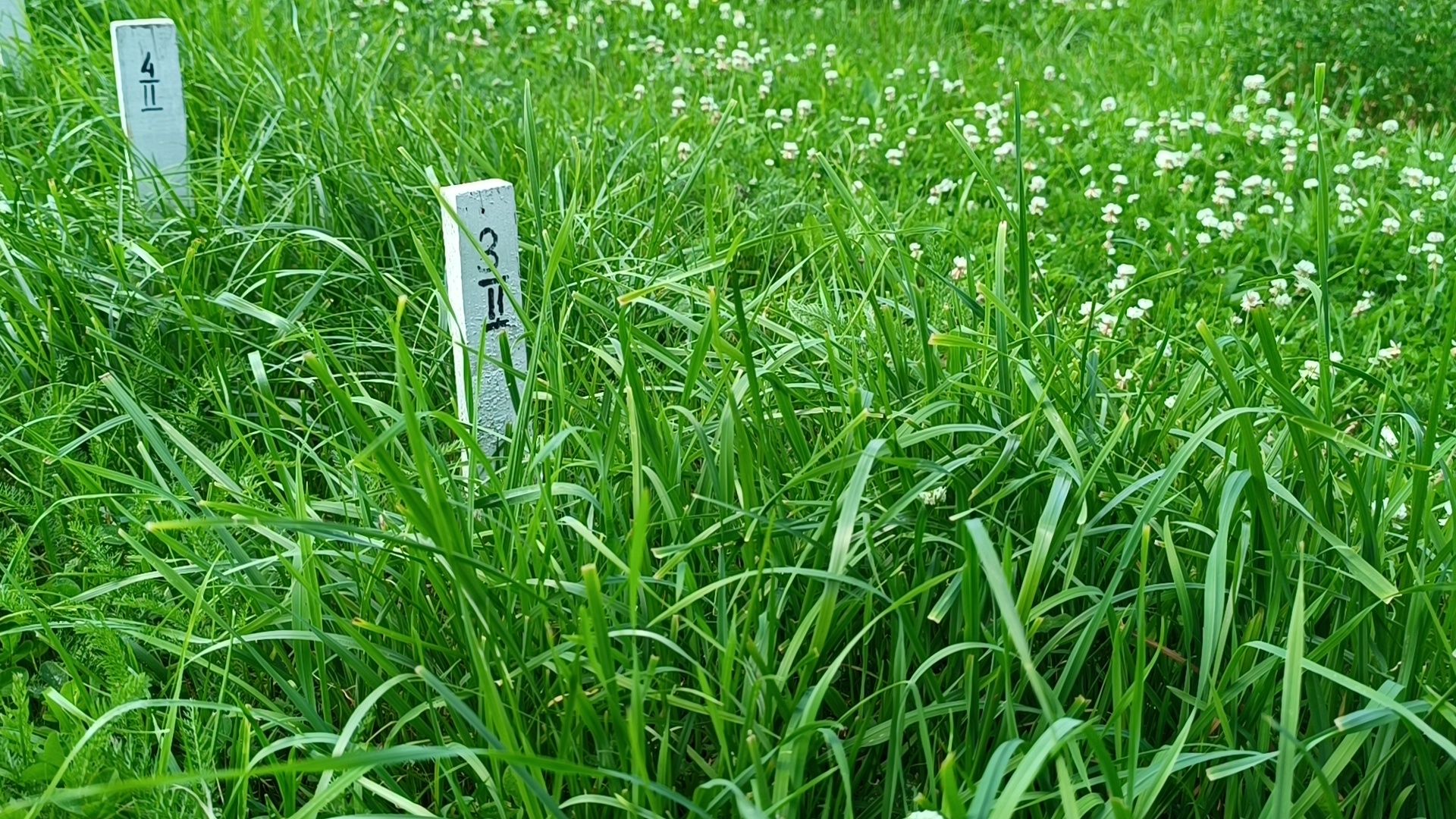 сельское хозяйство, ВИК, лобня,