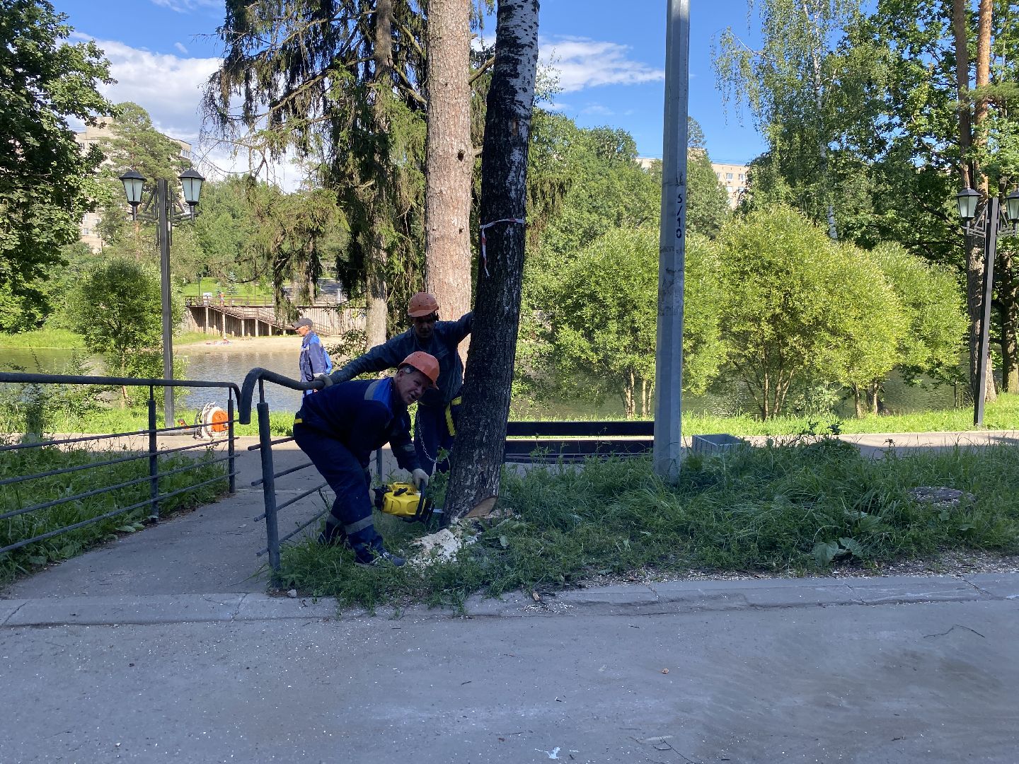 благоустройство дворовой территории, спил деревьев,аварийные деревья, сухие деревья, власиха благоустройство территории,