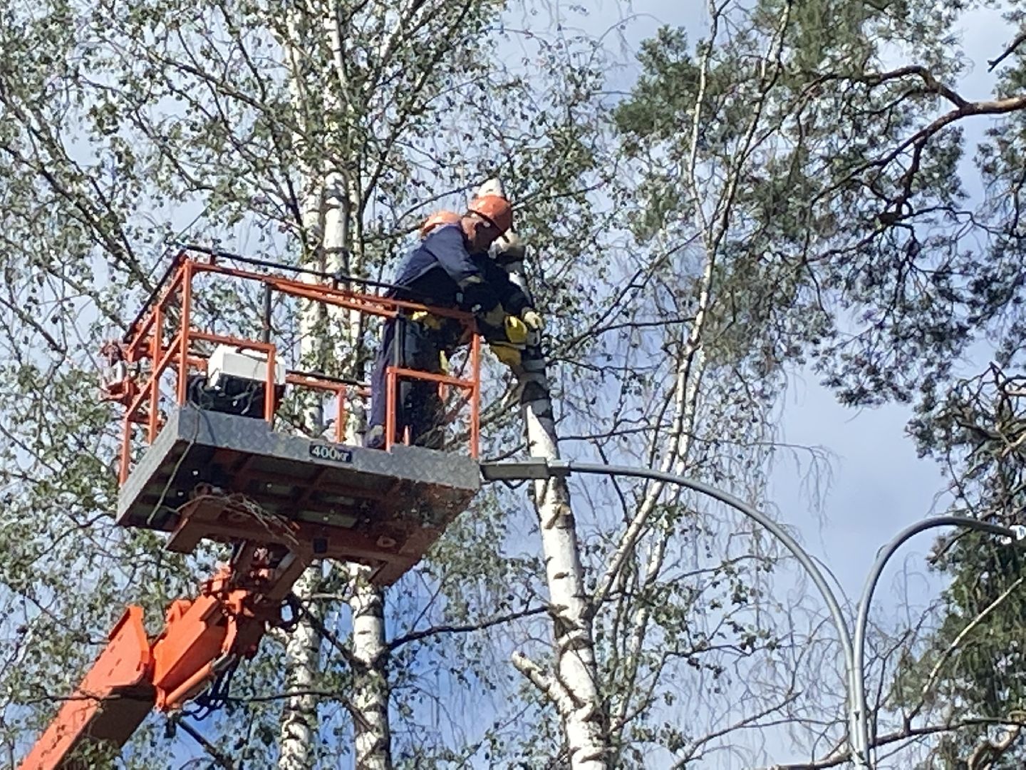 благоустройство дворовой территории, спил деревьев,аварийные деревья, сухие деревья, власиха благоустройство территории,