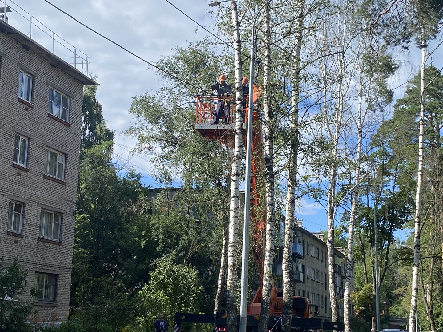 благоустройство дворовой территории, спил деревьев,аварийные деревья, сухие деревья, власиха благоустройство территории,
