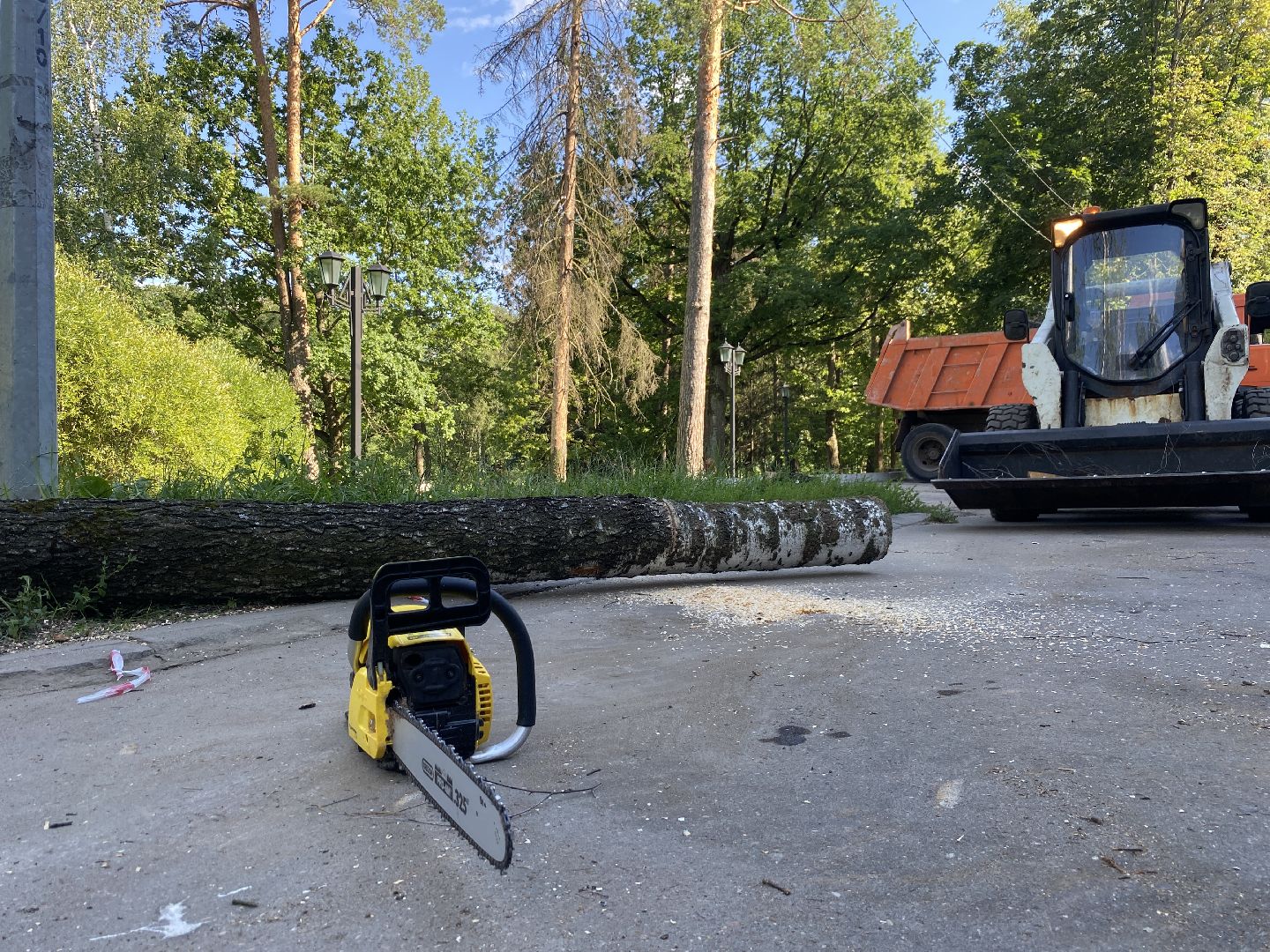 благоустройство дворовой территории, спил деревьев,аварийные деревья, сухие деревья, власиха благоустройство территории,