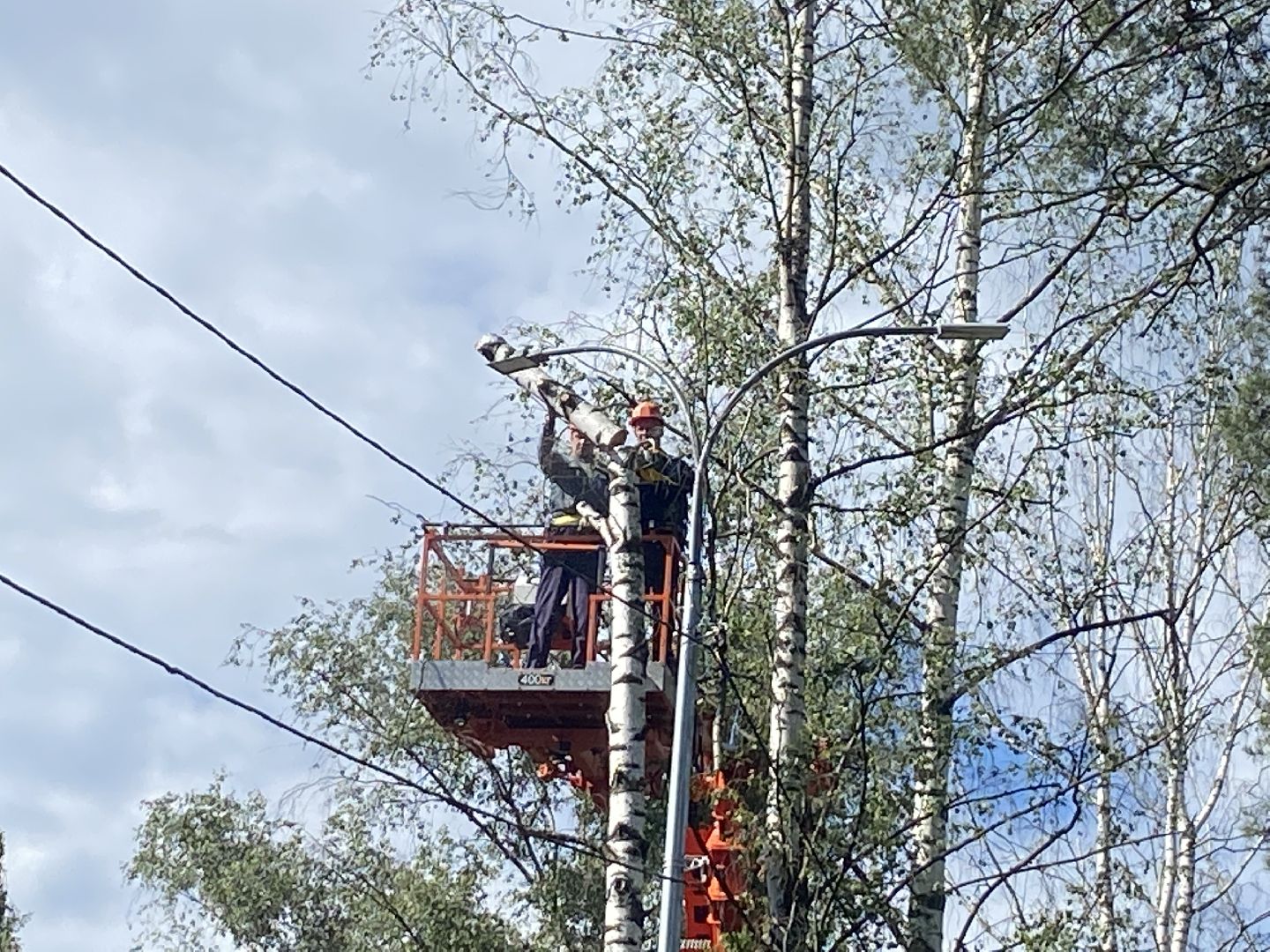 благоустройство дворовой территории, спил деревьев,аварийные деревья, сухие деревья, власиха благоустройство территории,