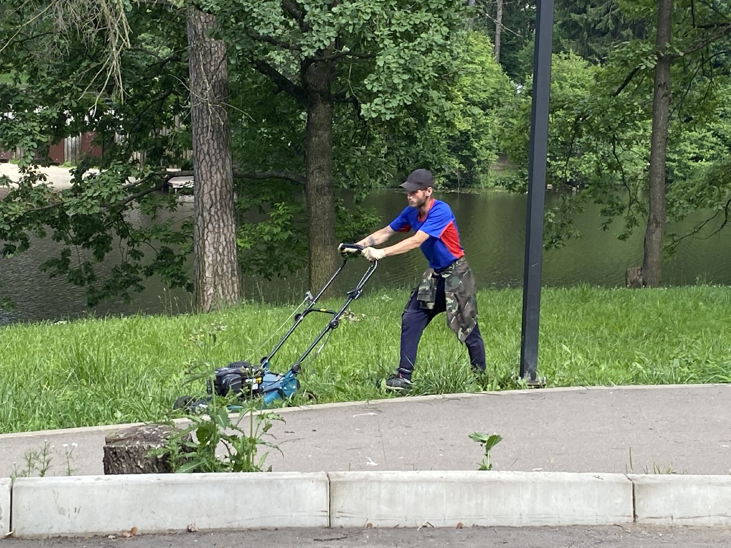 благоустройство дворовой территории, спил деревьев,аварийные деревья, сухие деревья, власиха благоустройство территории,