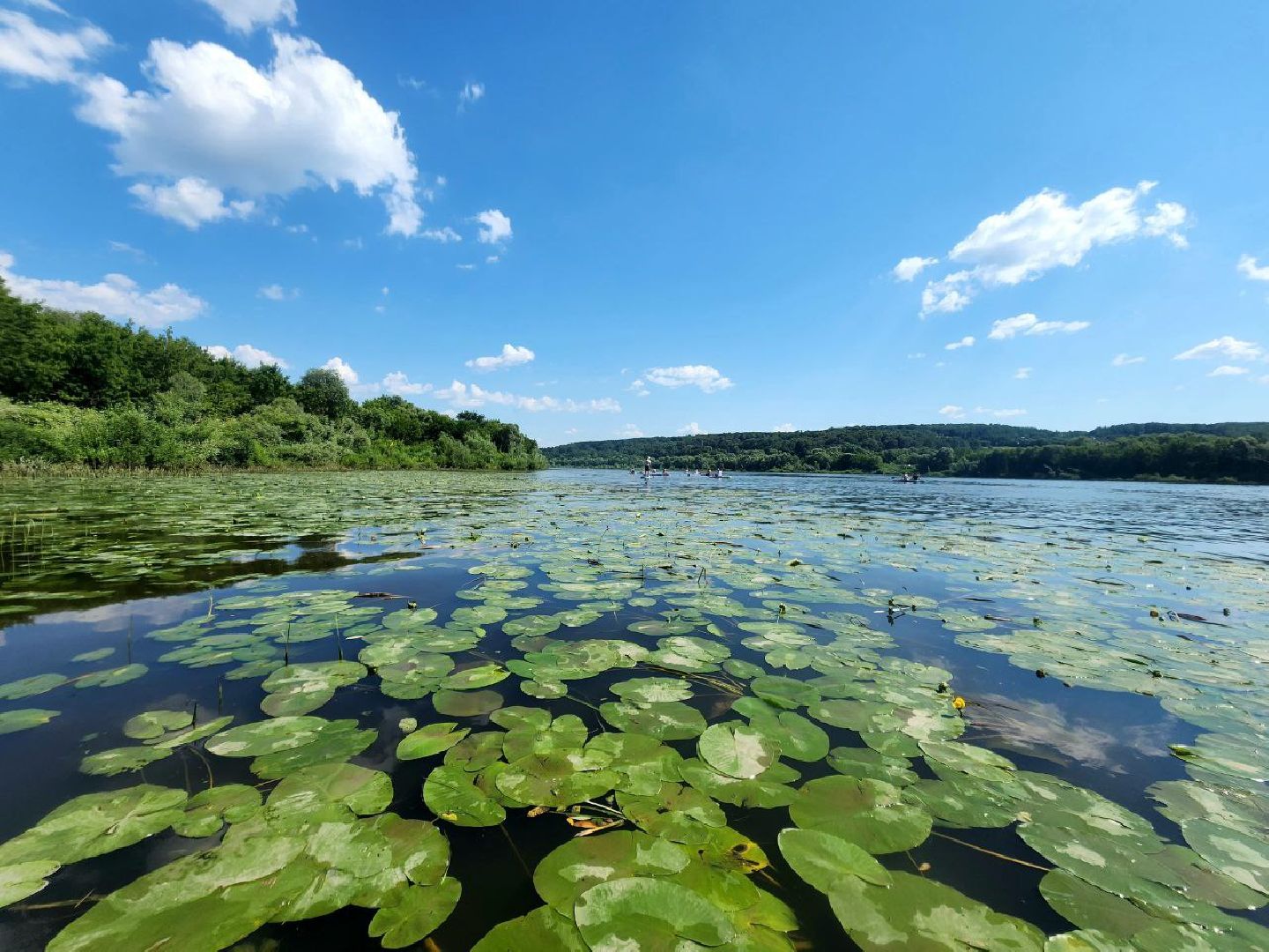 пущино, серпухов, сапбординг, спорт в подмосковье,