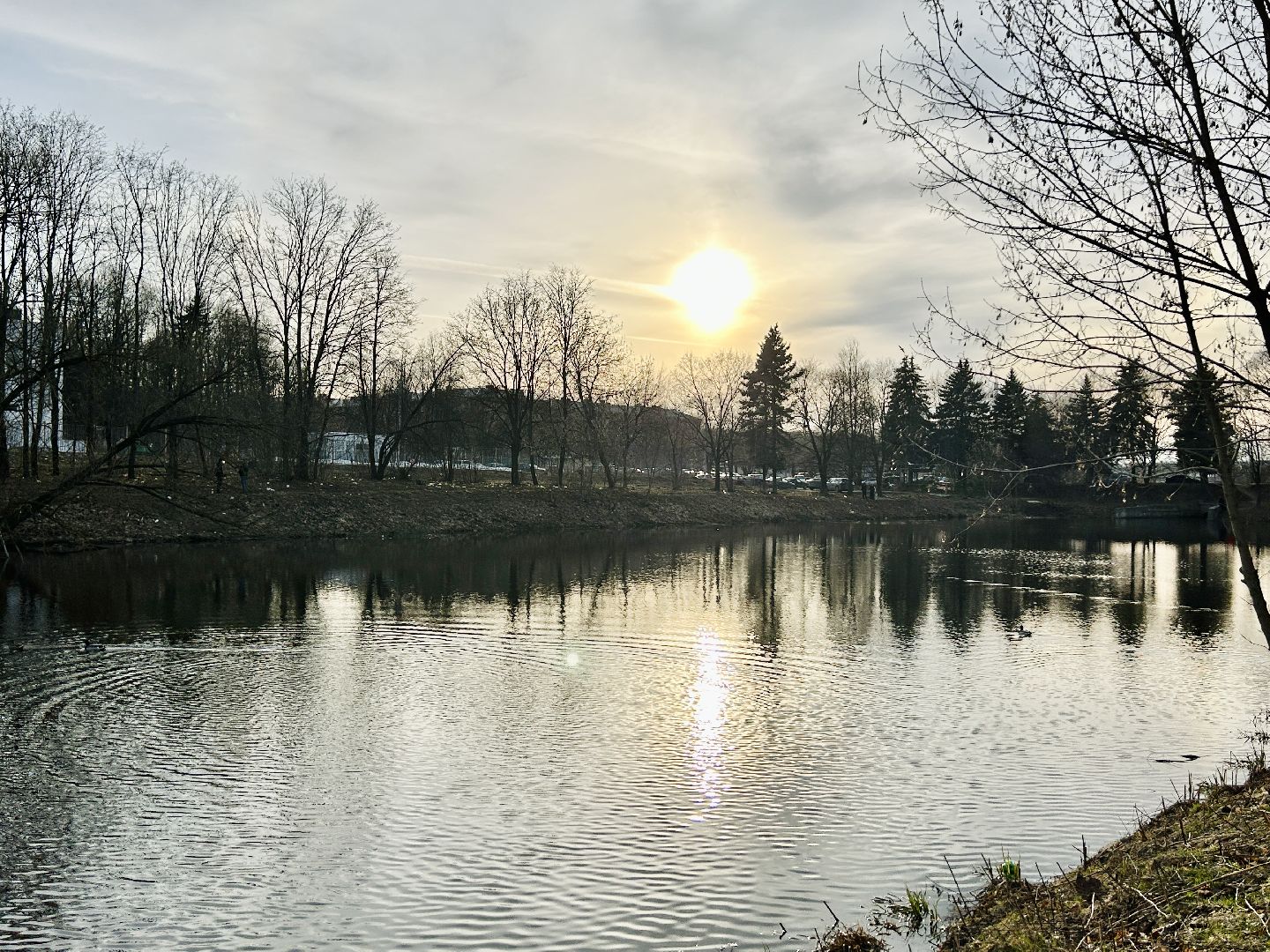благоустройство, 100 прудов и озер, технический пруд, Фрязино