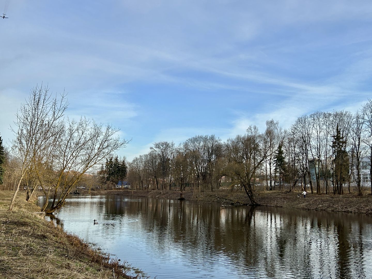благоустройство, 100 прудов и озер, технический пруд, Фрязино