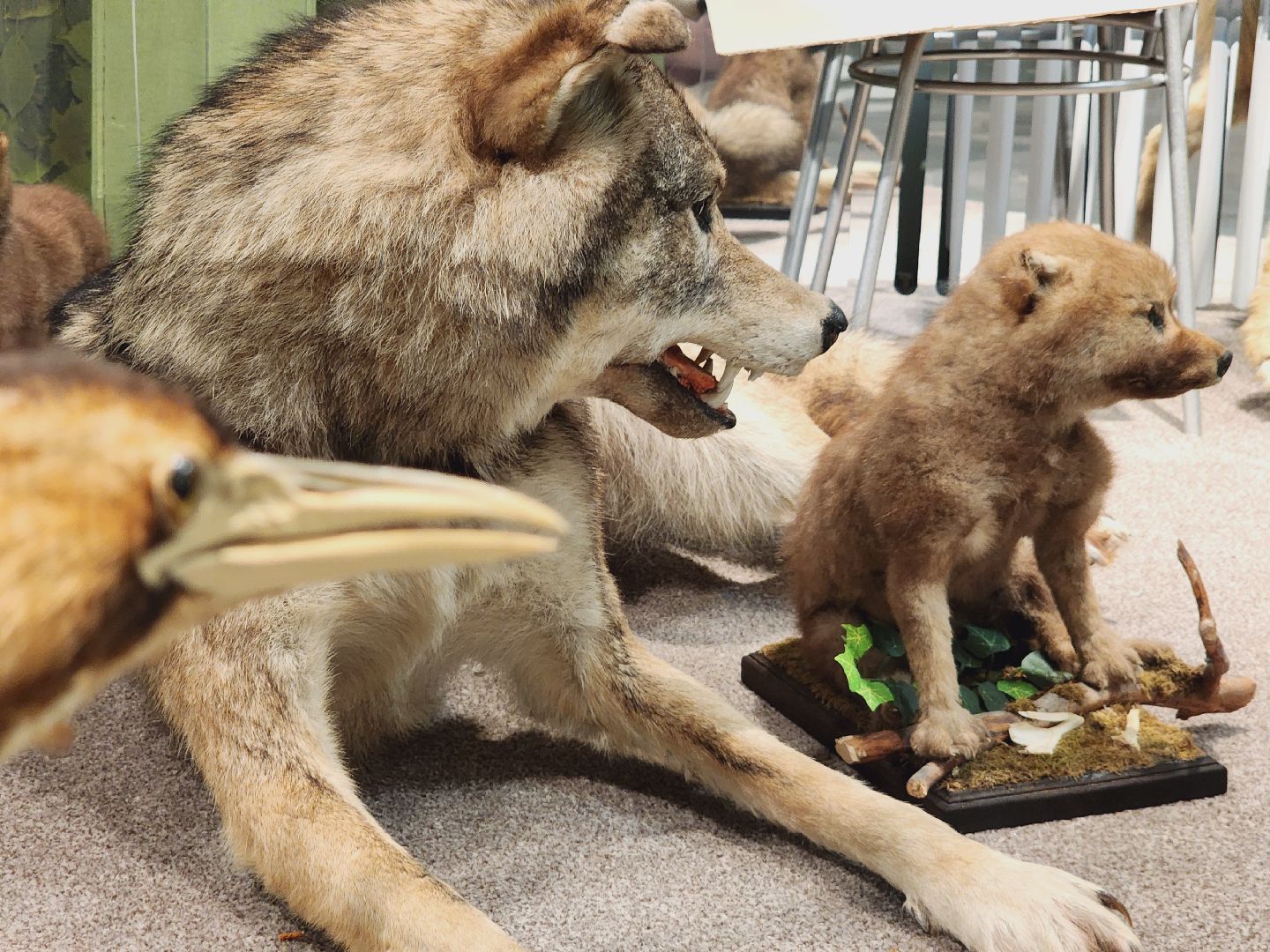 Егорьевск, Подмосковье, Московская область, Музей, Отдел истории,