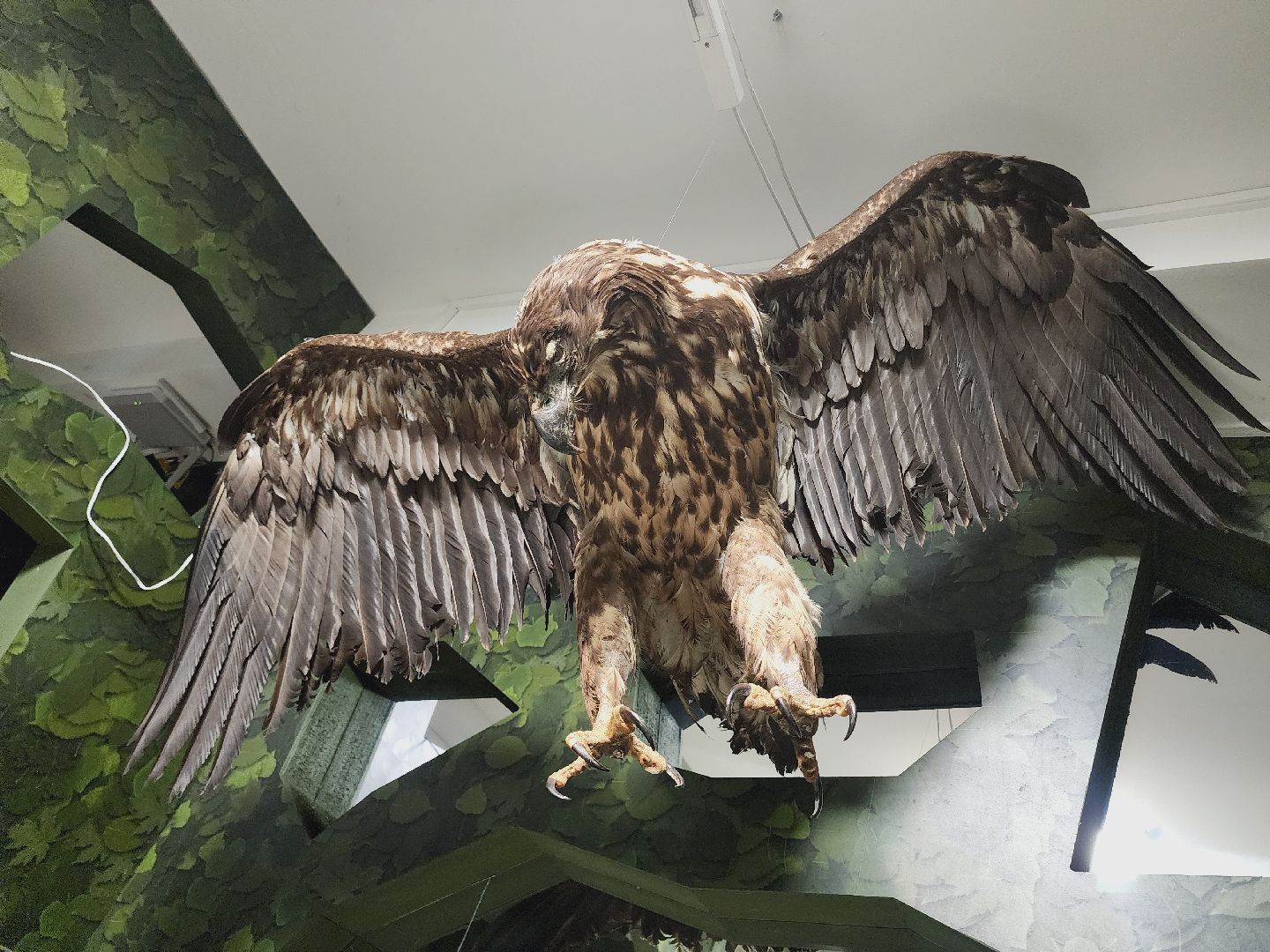 Егорьевск, Подмосковье, Московская область, Музей, Отдел истории,