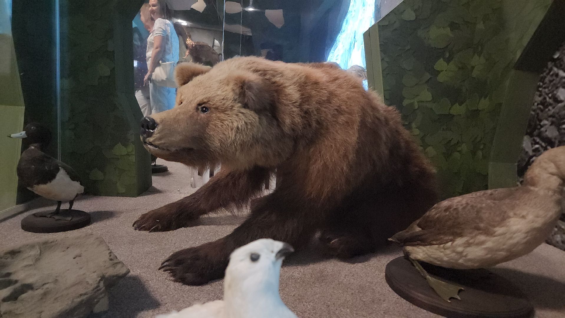 Егорьевск, Подмосковье, Московская область, Музей, Отдел истории,