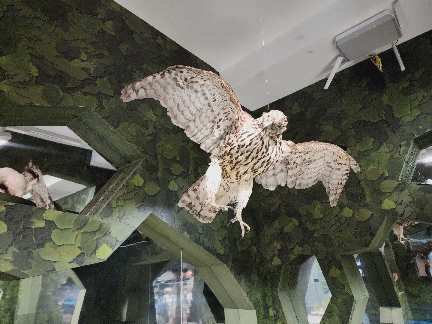 Егорьевск, Подмосковье, Московская область, Музей, Отдел истории,