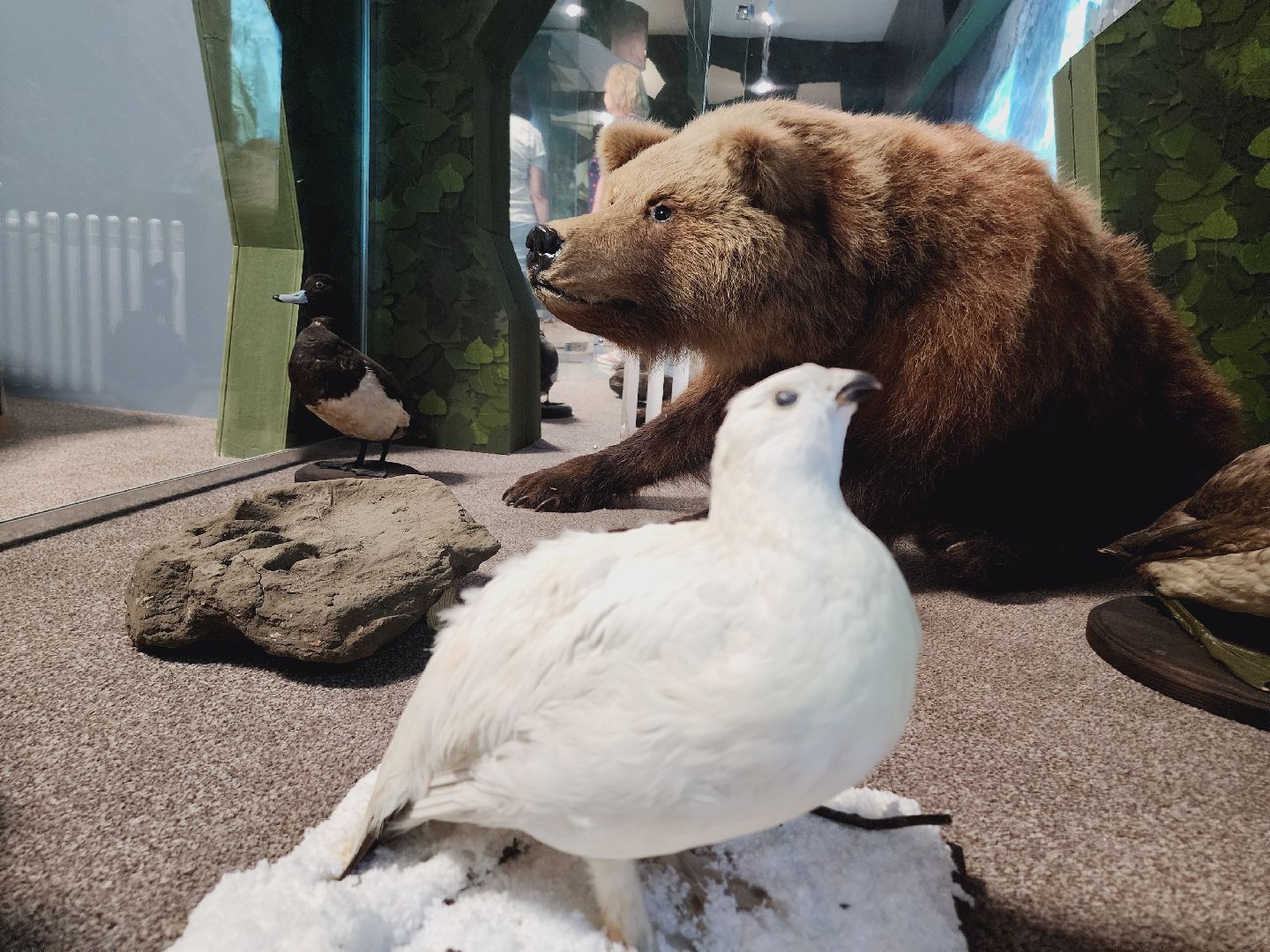 Егорьевск, Подмосковье, Московская область, Музей, Отдел истории,