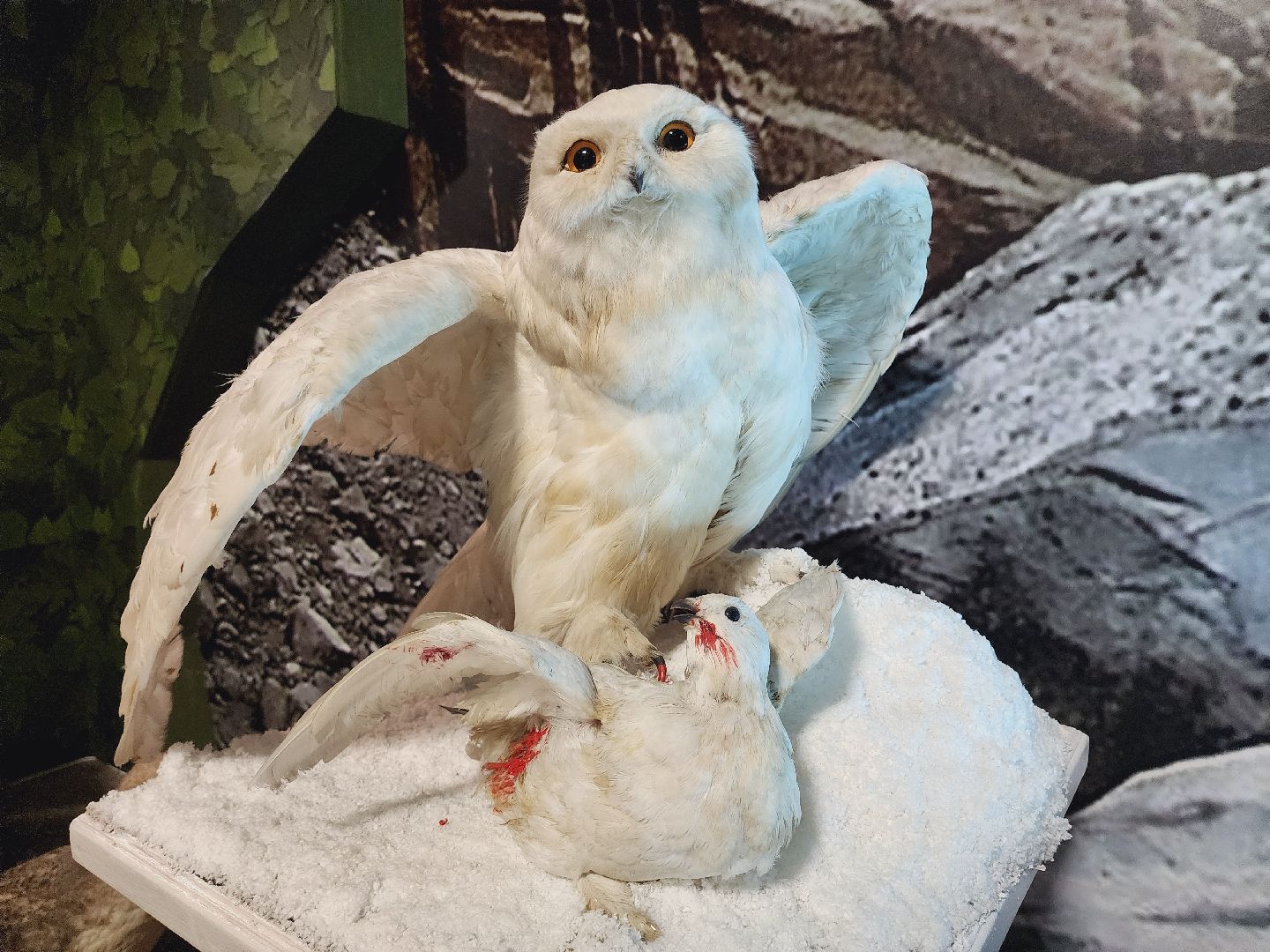 Егорьевск, Подмосковье, Московская область, Музей, Отдел истории,