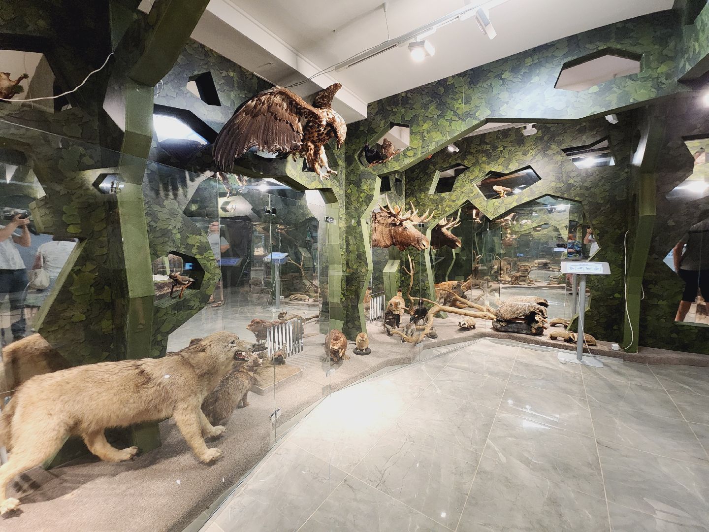 Егорьевск, Подмосковье, Московская область, Музей, Отдел истории,