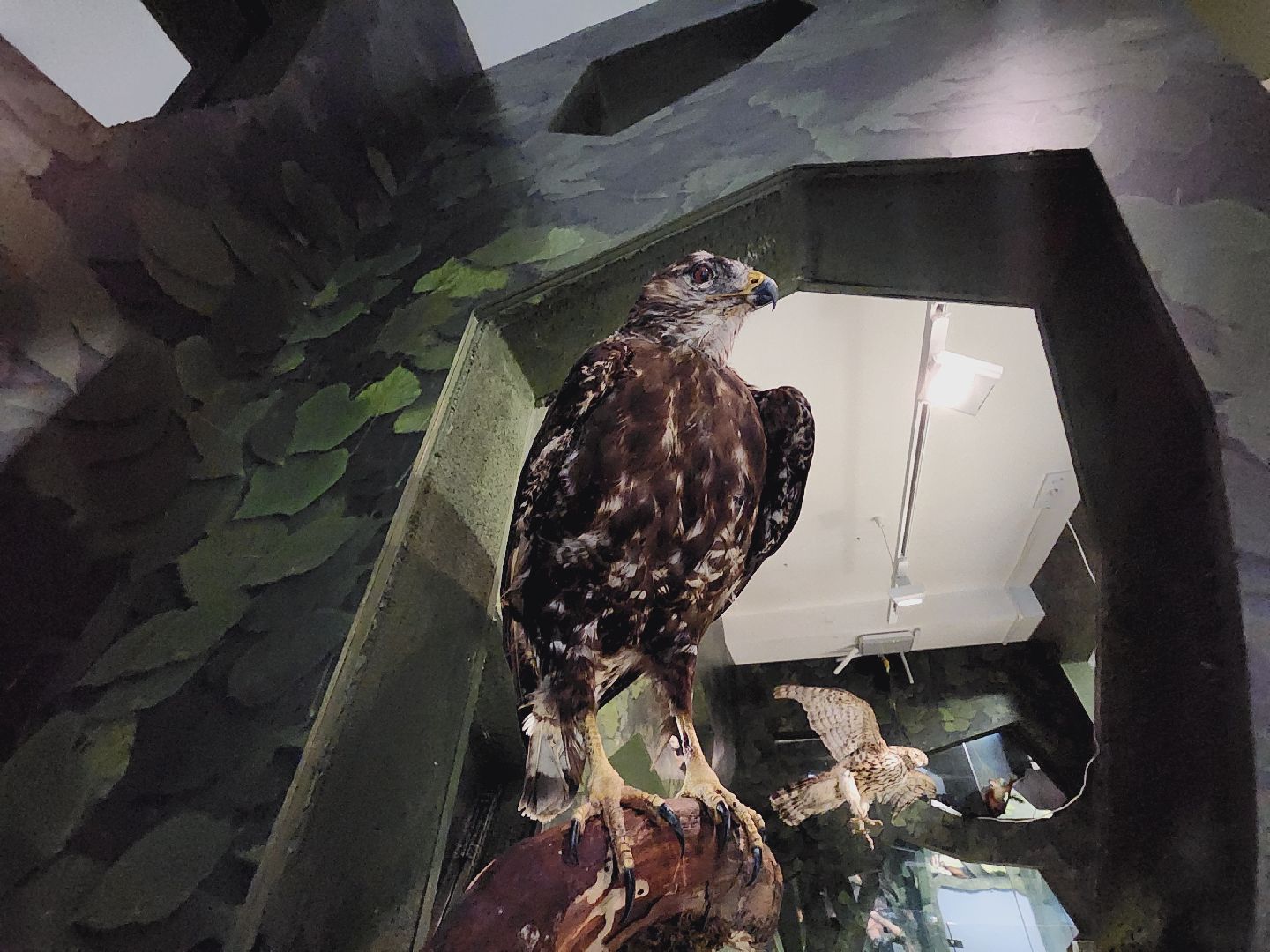 Егорьевск, Подмосковье, Московская область, Музей, Отдел истории,