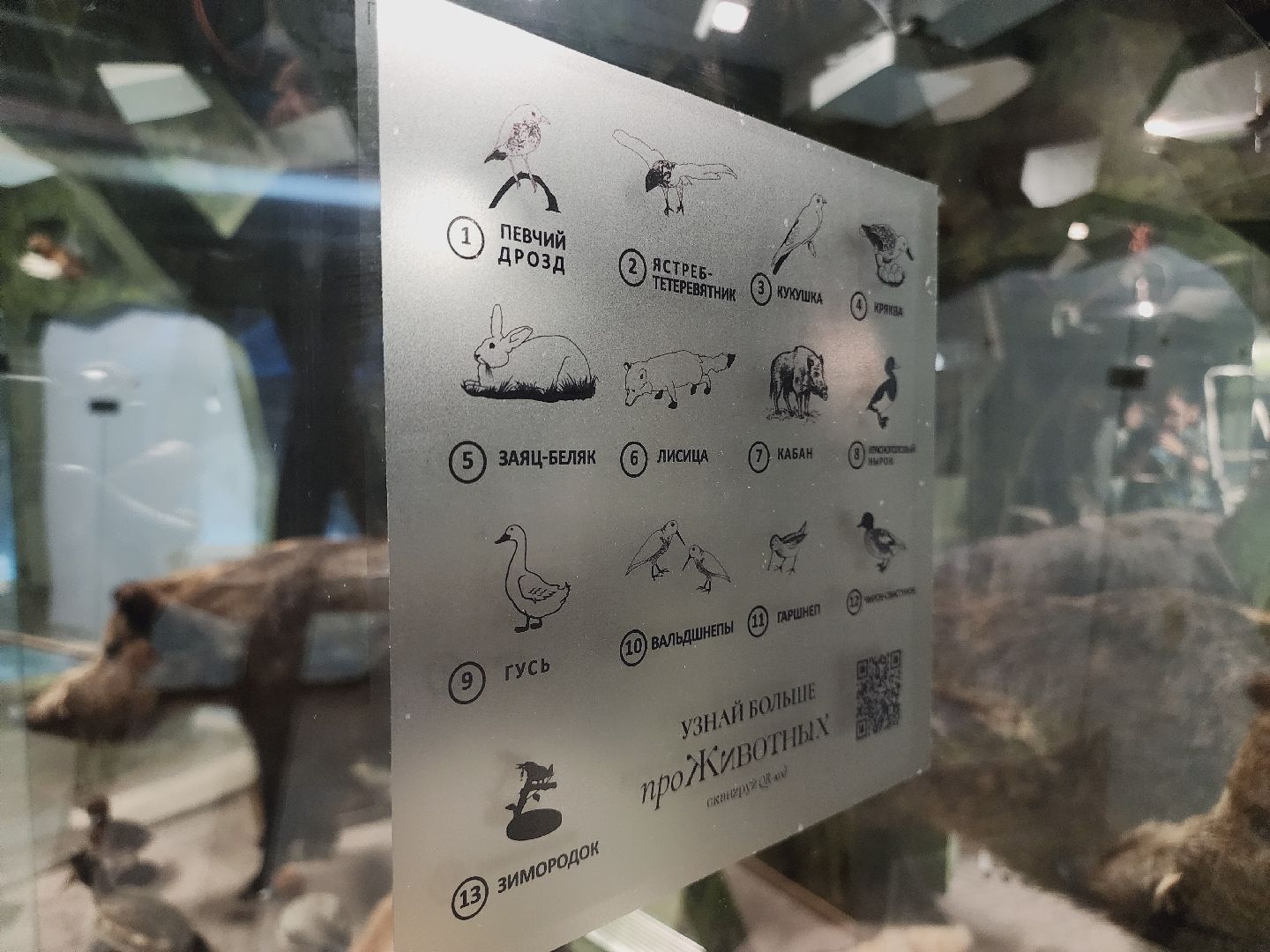 Егорьевск, Подмосковье, Московская область, Музей, Отдел истории,