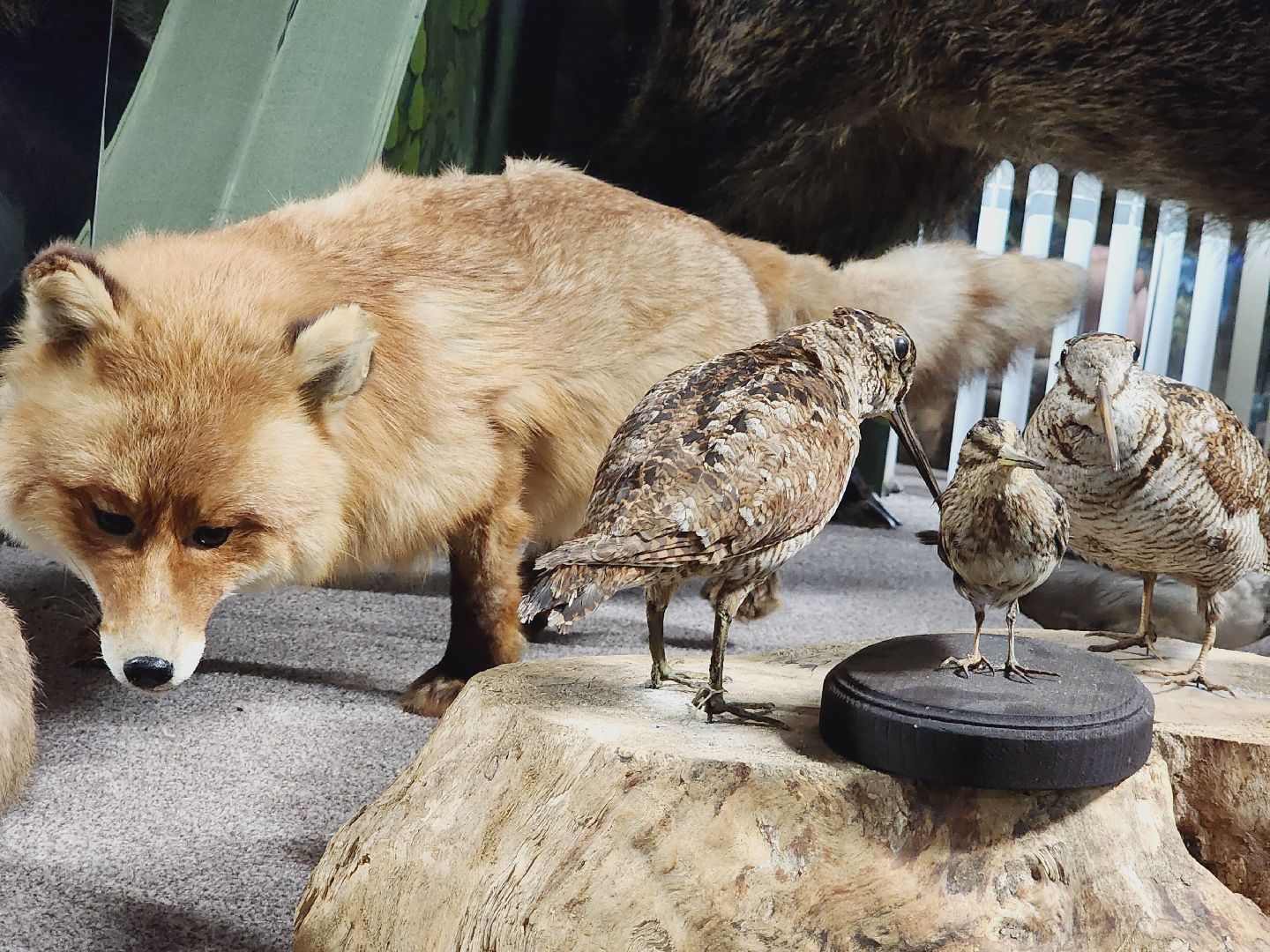Егорьевск, Подмосковье, Московская область, Музей, Отдел истории,