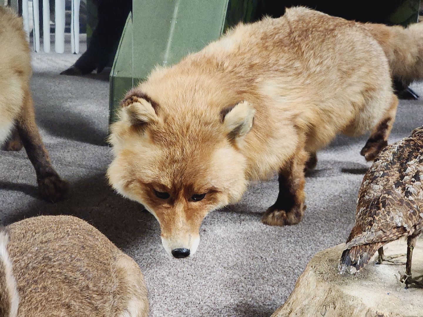 Егорьевск, Подмосковье, Московская область, Музей, Отдел истории,
