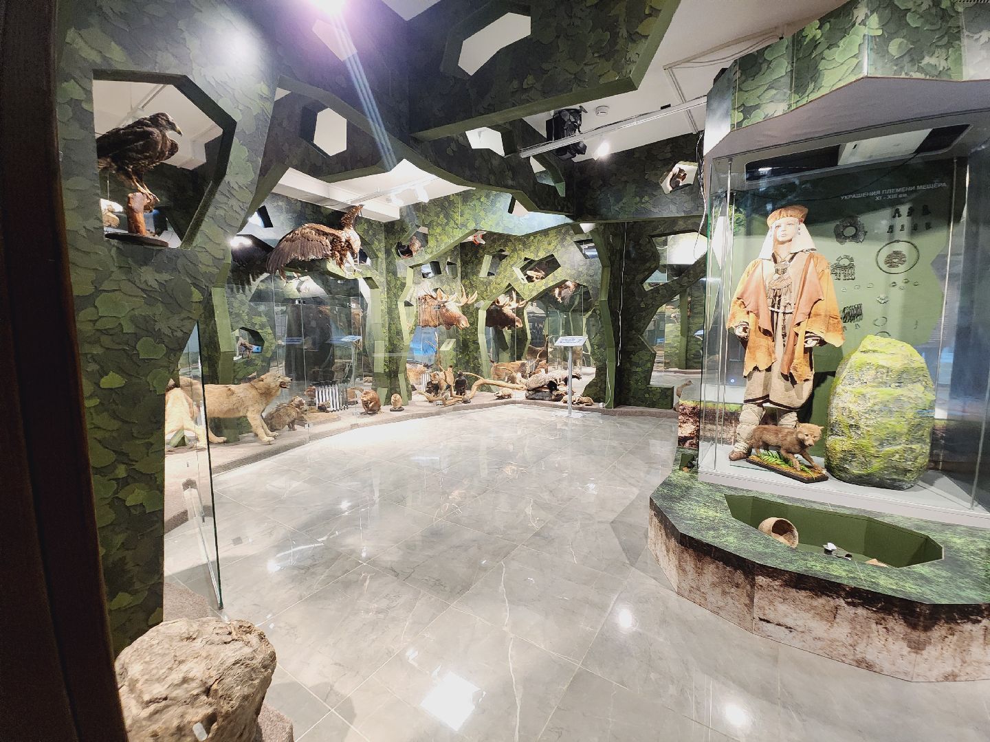 Егорьевск, Подмосковье, Московская область, Музей, Отдел истории,