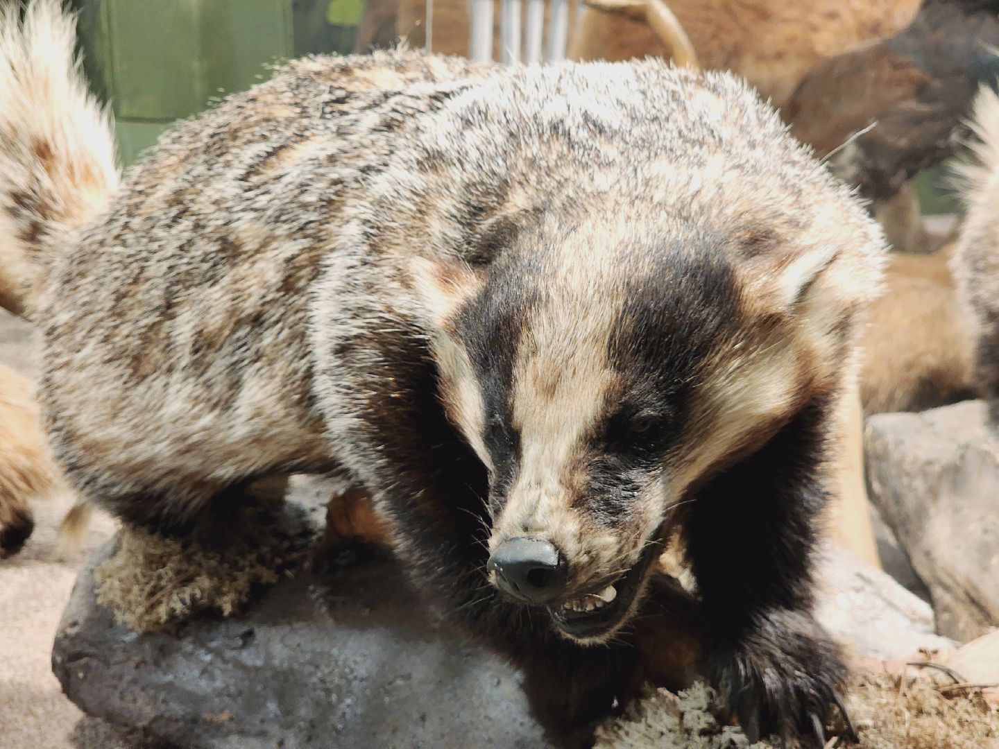 Егорьевск, Подмосковье, Московская область, Музей, Отдел истории,
