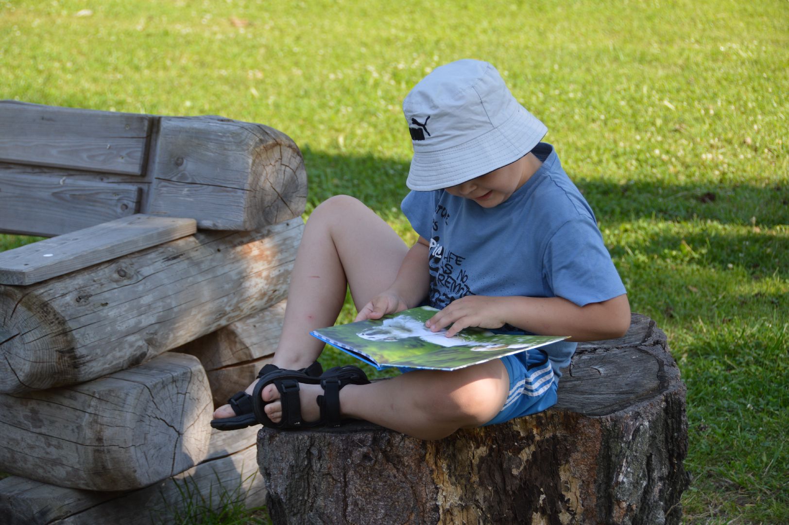 шатура, международный день собак, культурная шатура, библиотеки шатуры, библиотекарь,