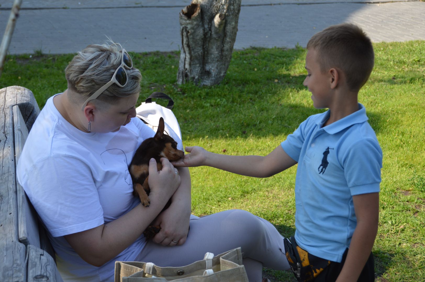 шатура, международный день собак, культурная шатура, библиотеки шатуры, библиотекарь,