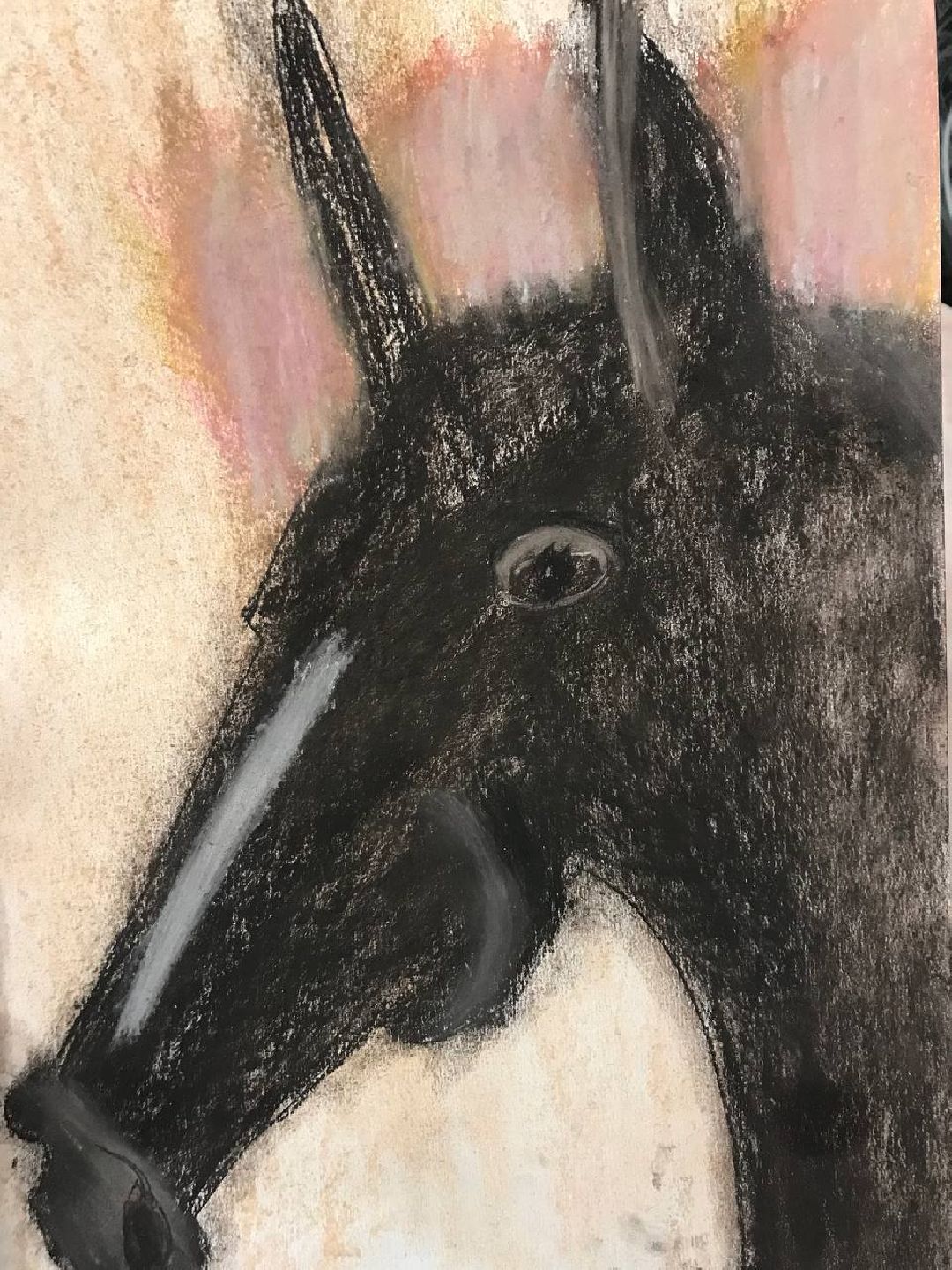 Балашиха, общество