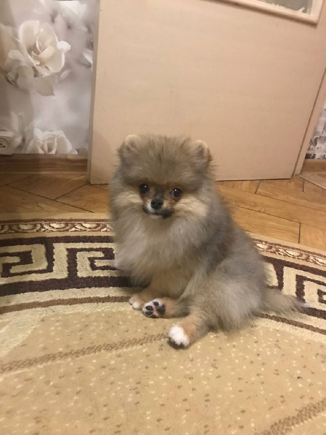 Балашиха, общество