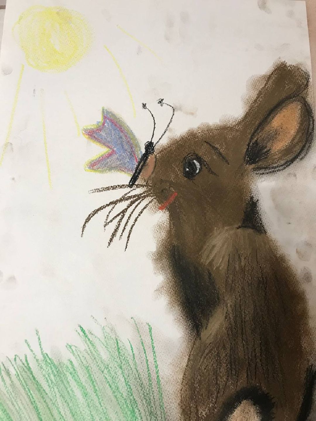 Балашиха, общество