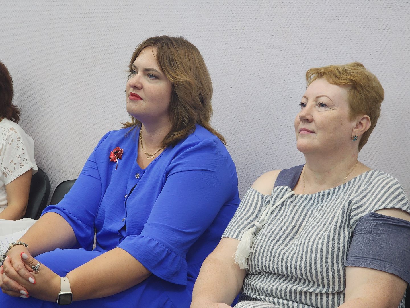 Егорьевск, Подмосковье, Московская область, Общественная палата,