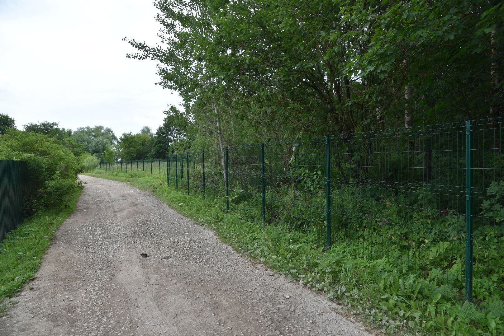 лотошино, лотошинский парк, забор, благоустройство, парки подмосковья,