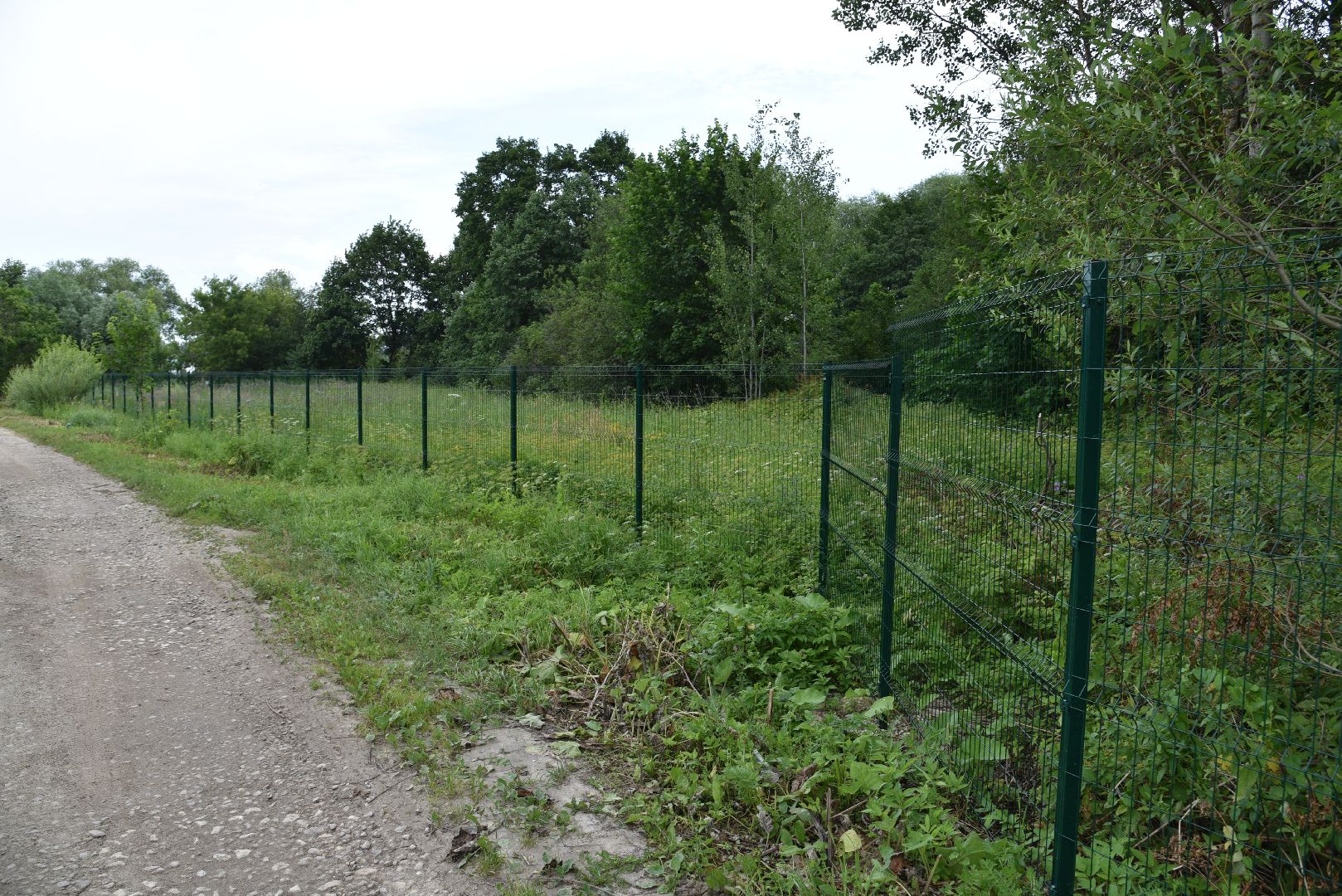 лотошино, лотошинский парк, забор, благоустройство, парки подмосковья,