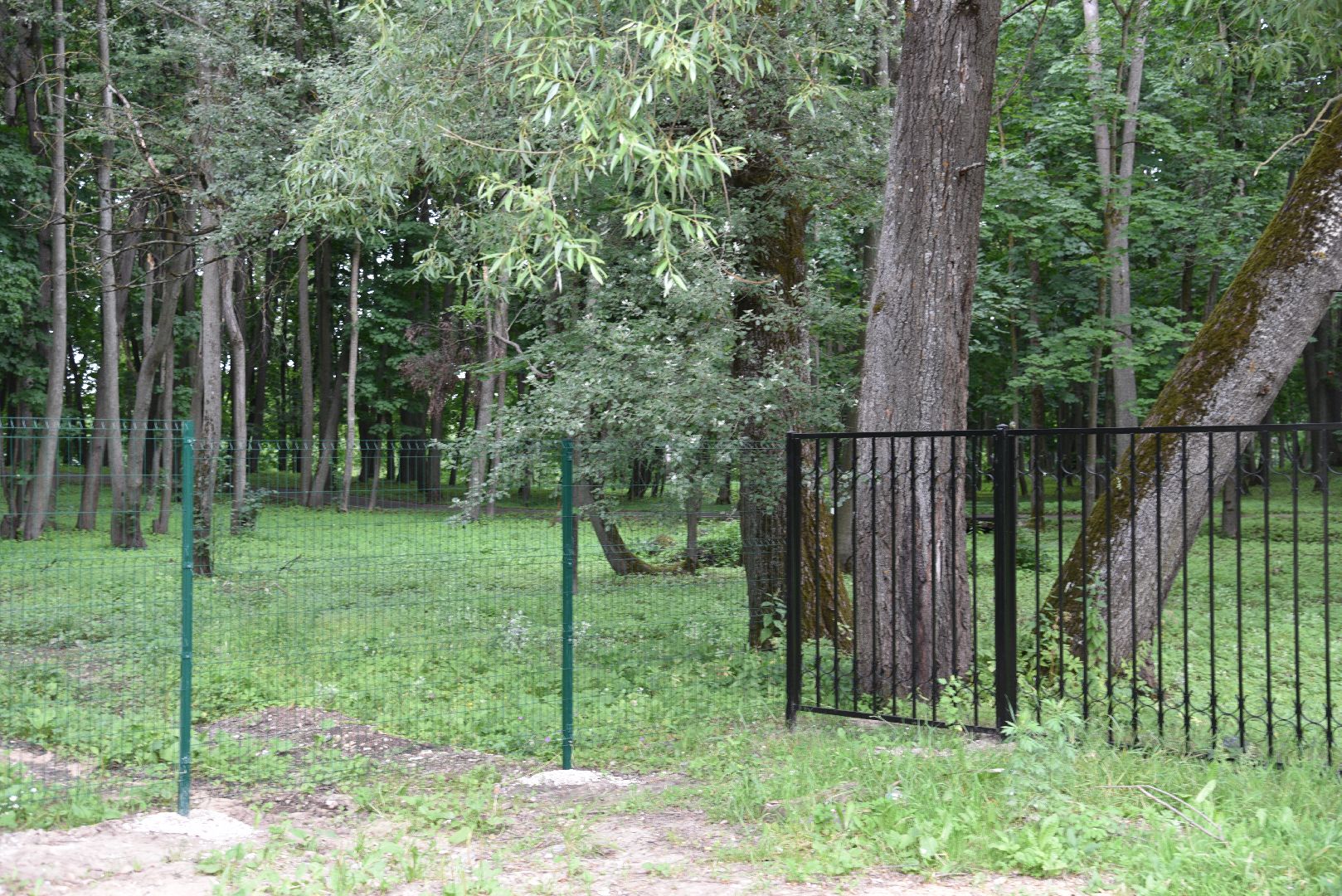 лотошино, лотошинский парк, забор, благоустройство, парки подмосковья,