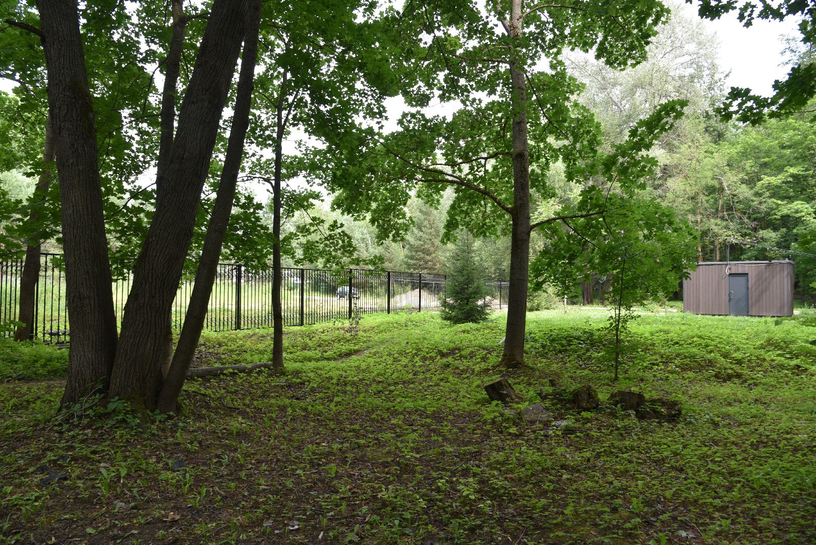 лотошино, лотошинский парк, забор, благоустройство, парки подмосковья,