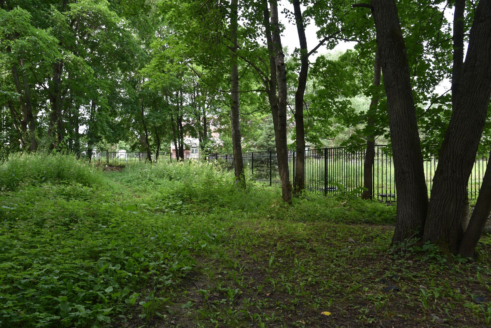 лотошино, лотошинский парк, забор, благоустройство, парки подмосковья,