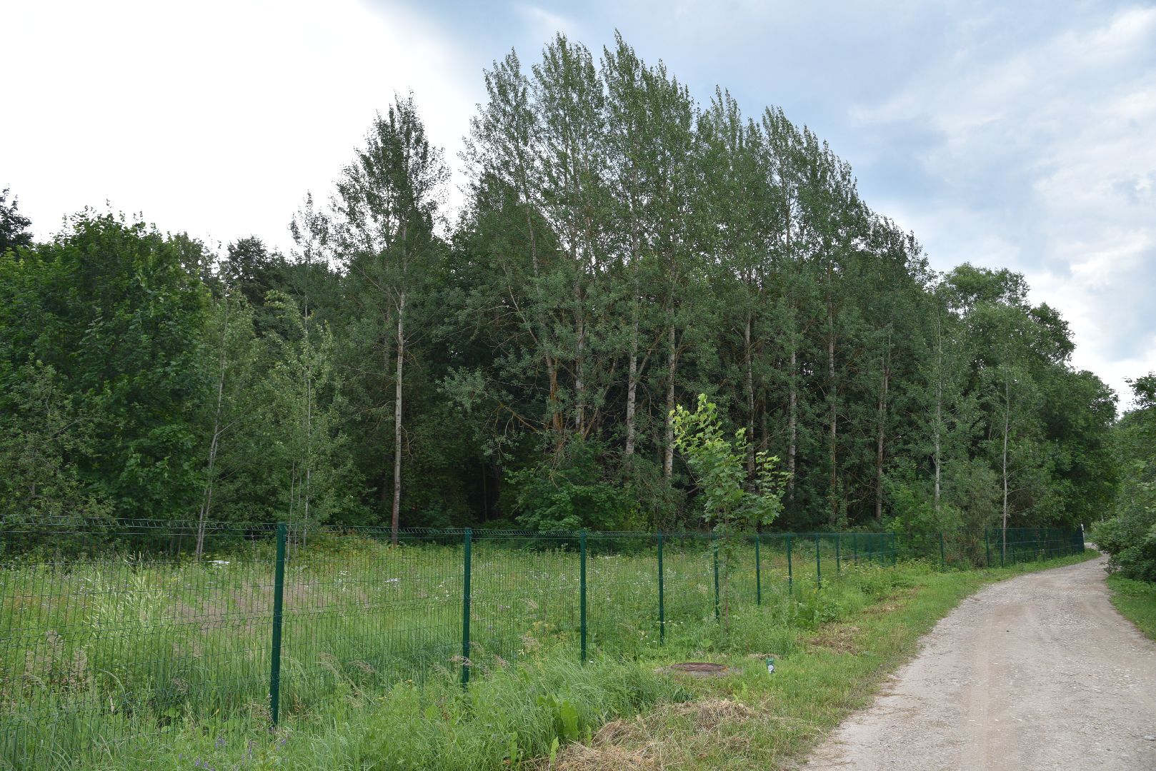 лотошино, лотошинский парк, забор, благоустройство, парки подмосковья,